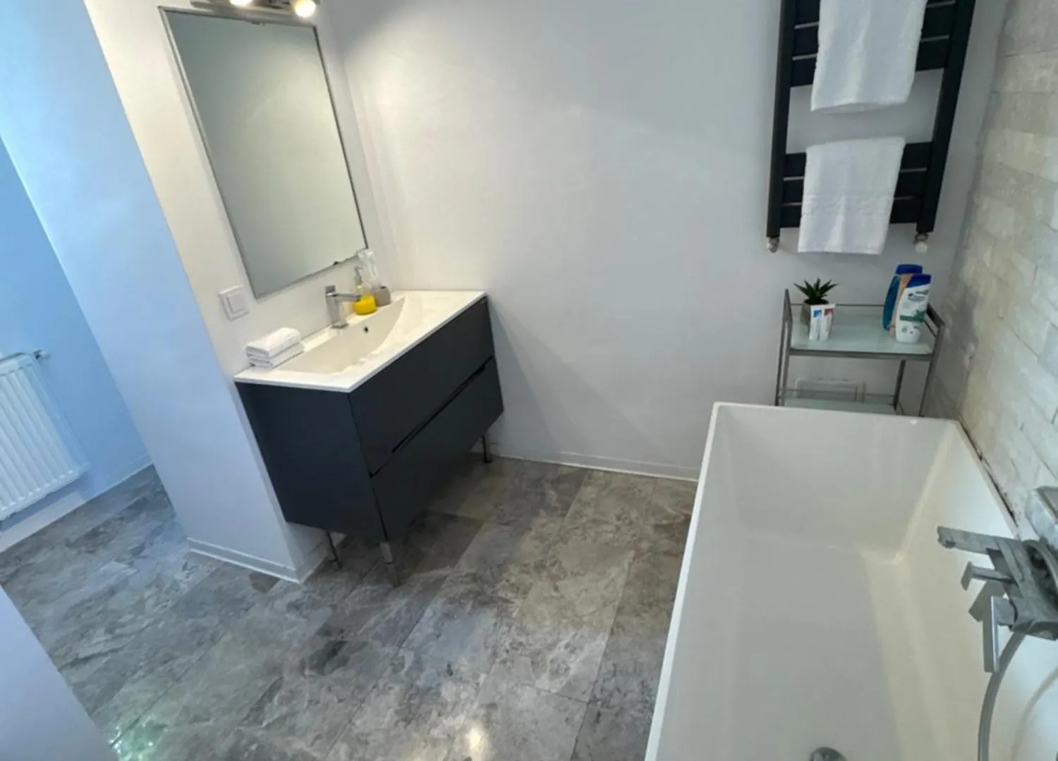 Bucharest Designer Villa